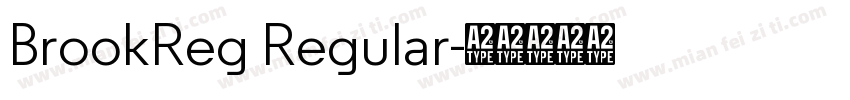 BrookReg Regular字体转换